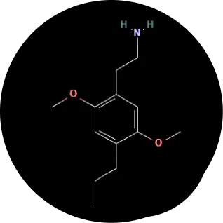 2C-B Guide and Other Phenethylamines: Understanding the “Lost Family ...