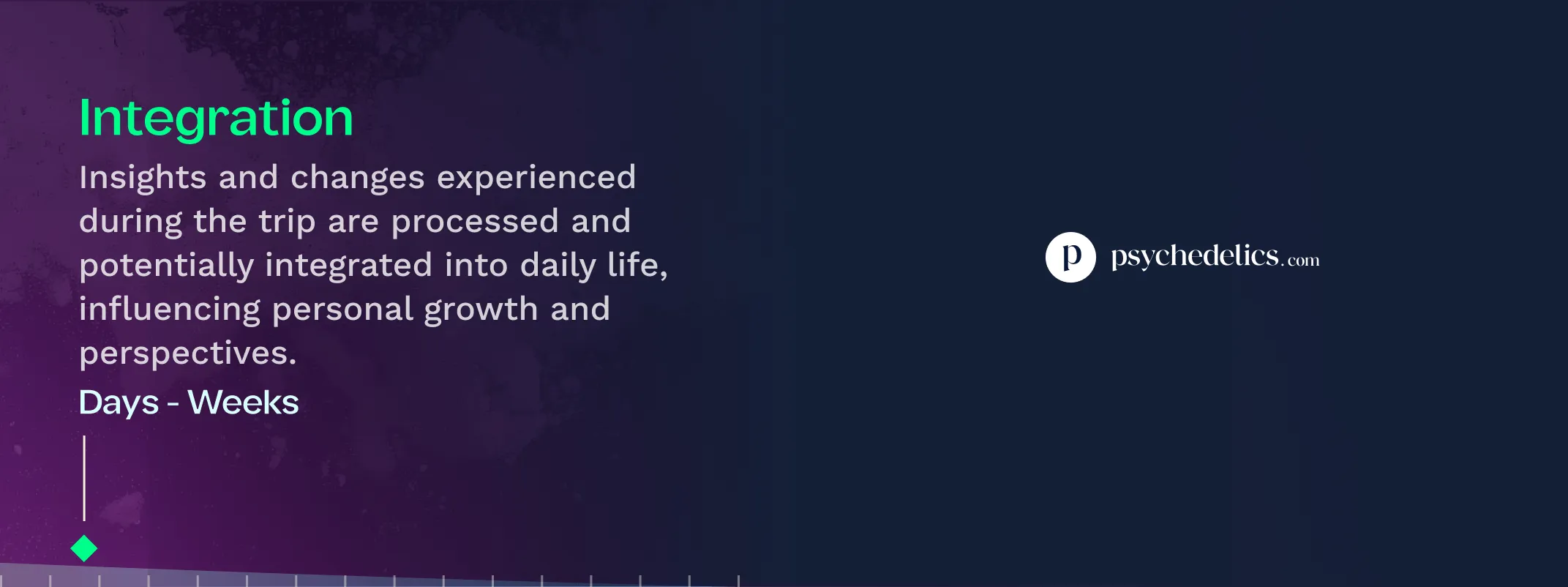 2C-B Guide and Other Phenethylamines: Understanding the “Lost Family ...