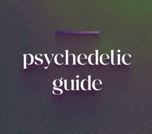 Psychedelic Guides