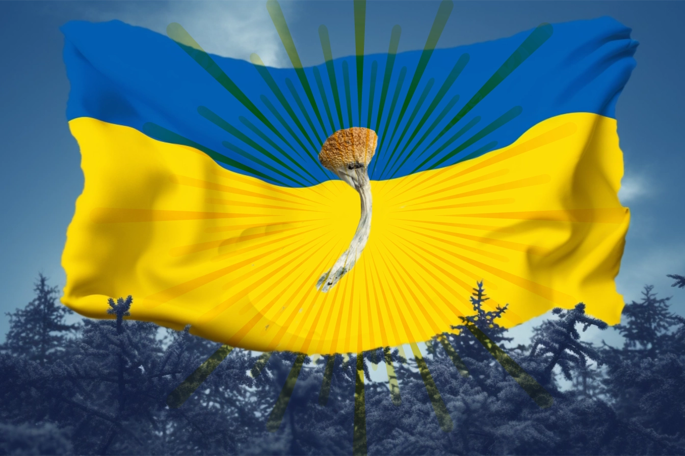Ukraine flag and mushrooms