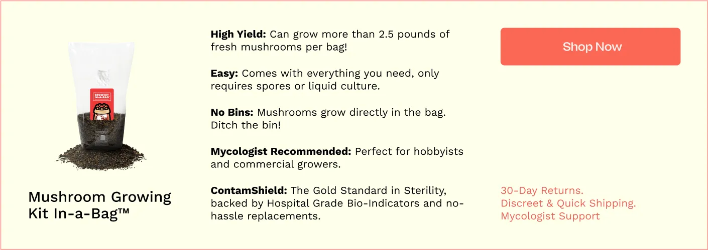 All in One Grow Bags from MushroomSupplies.com All in One Grow Bags from MushroomSupplies.com