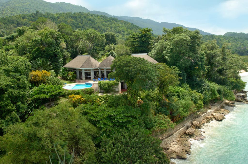 mycomeditations gallery img 04 8