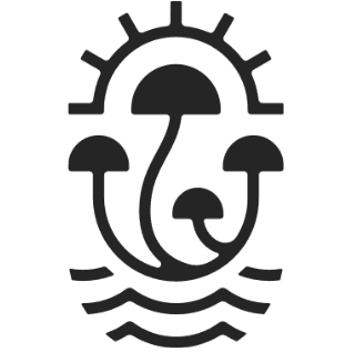 Directories 13 mycomeditations psilocybin assisted retreats gallery img 08 1