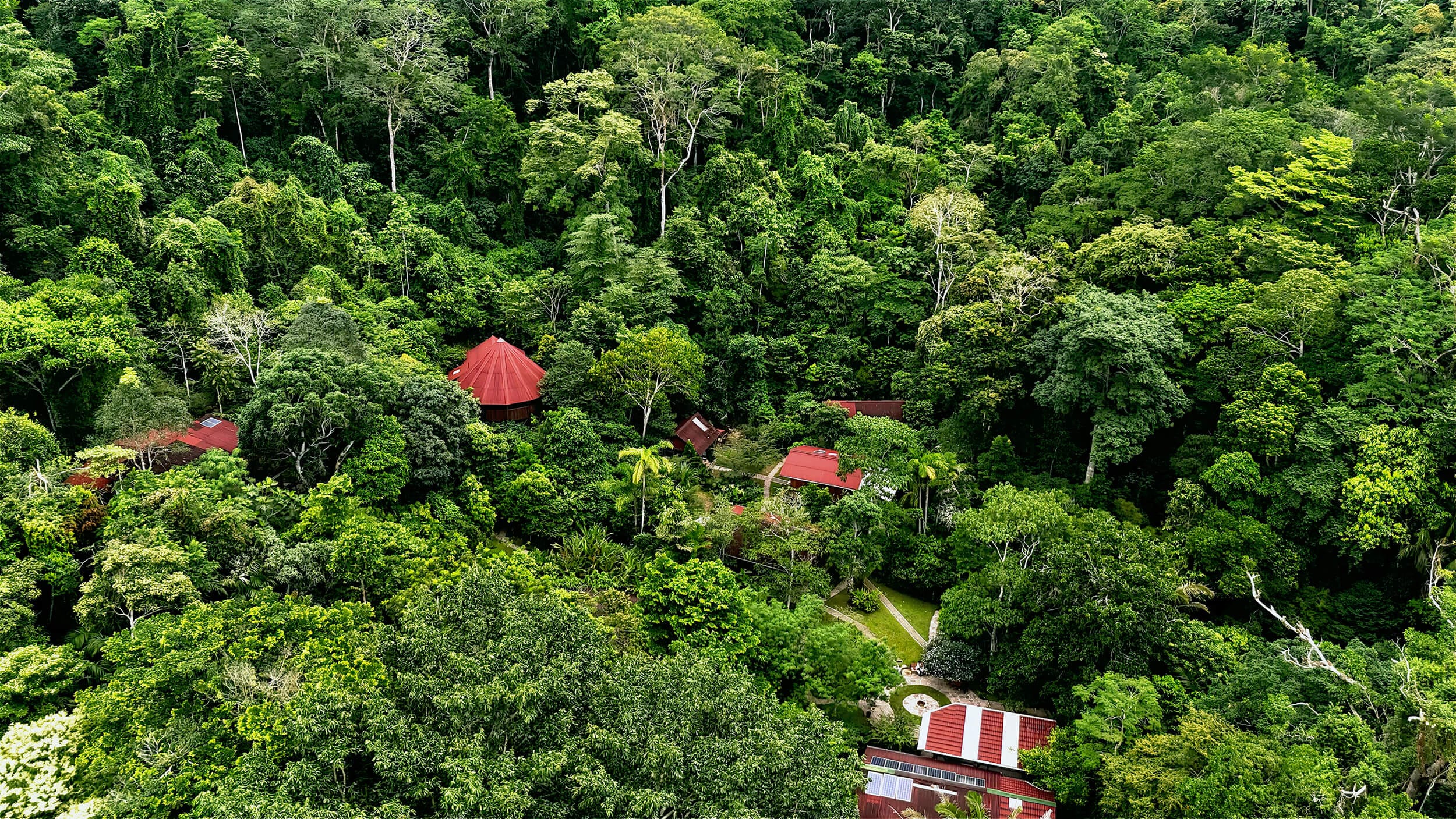 traditional ayahuasca retreats in peru img hero