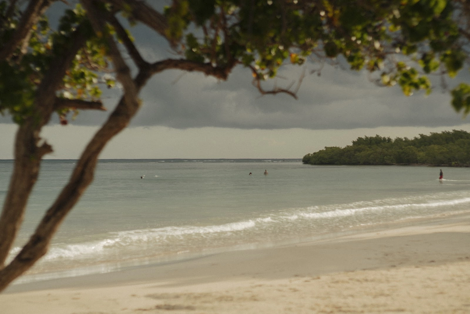 Beckley Retreats – Jamaica 48 Good hope estate 06 1