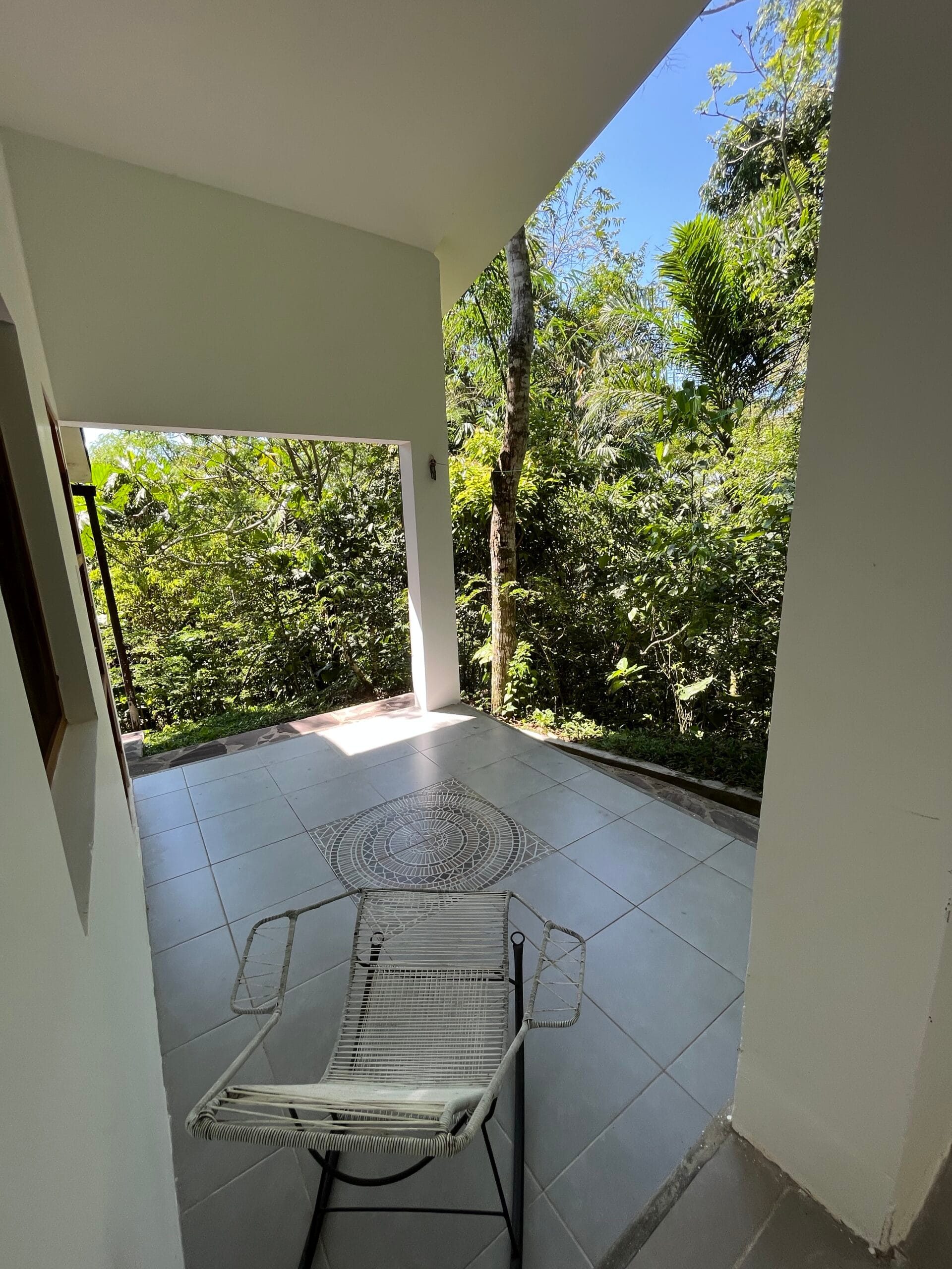 LA MEDICINA — AYAHUASCA RETREAT CENTER 39 IMG 1320 1 scaled 1