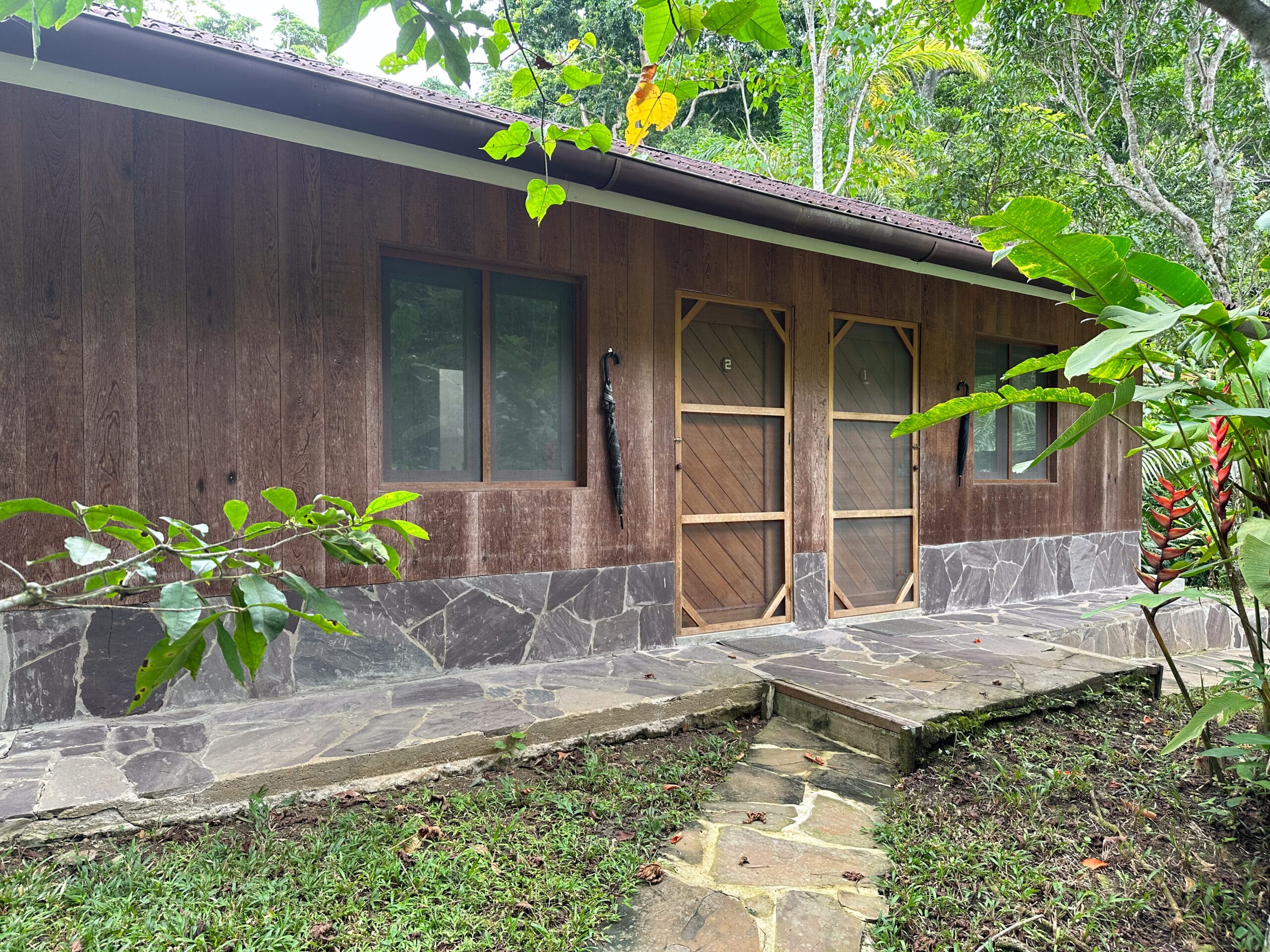 LA MEDICINA — AYAHUASCA RETREAT CENTER 47 IMG 2239 scaled 1