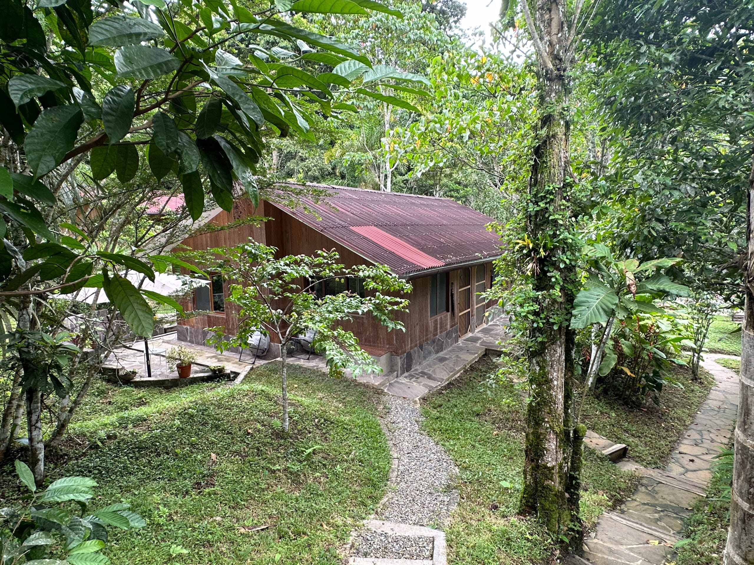 LA MEDICINA — AYAHUASCA RETREAT CENTER 48 IMG 2250 scaled 1