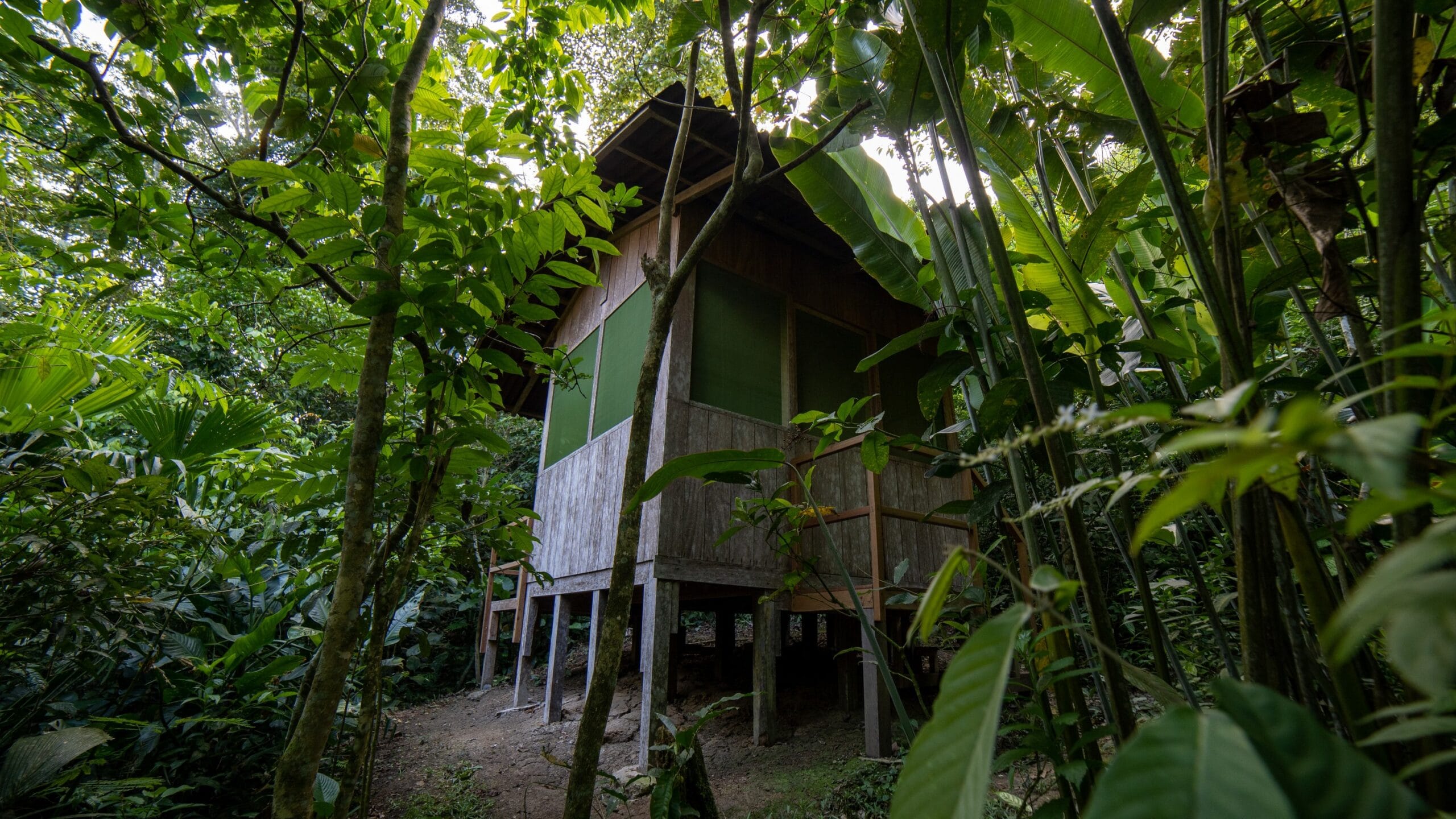 LA MEDICINA — AYAHUASCA RETREAT CENTER 32 La Medicina room6
