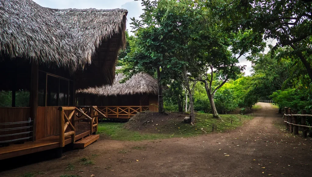 SOLTARA HEALING CENTER 42 PrepHeadertwo 1024x582 1