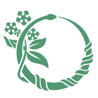 cropped SoltaraFavicon 192x192 1