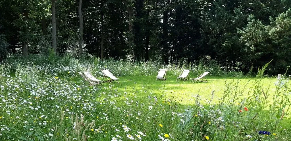 What You Need to Know to Find a Safe Psychedelic Retreat- A Comprehensive Guide 19 Block Image