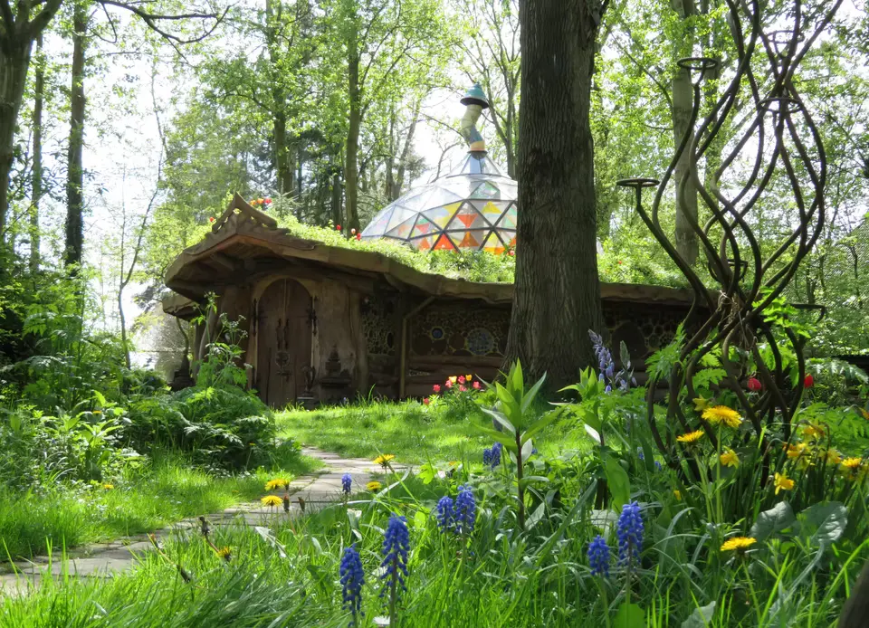 Earth Awareness Psilocybin Retreat